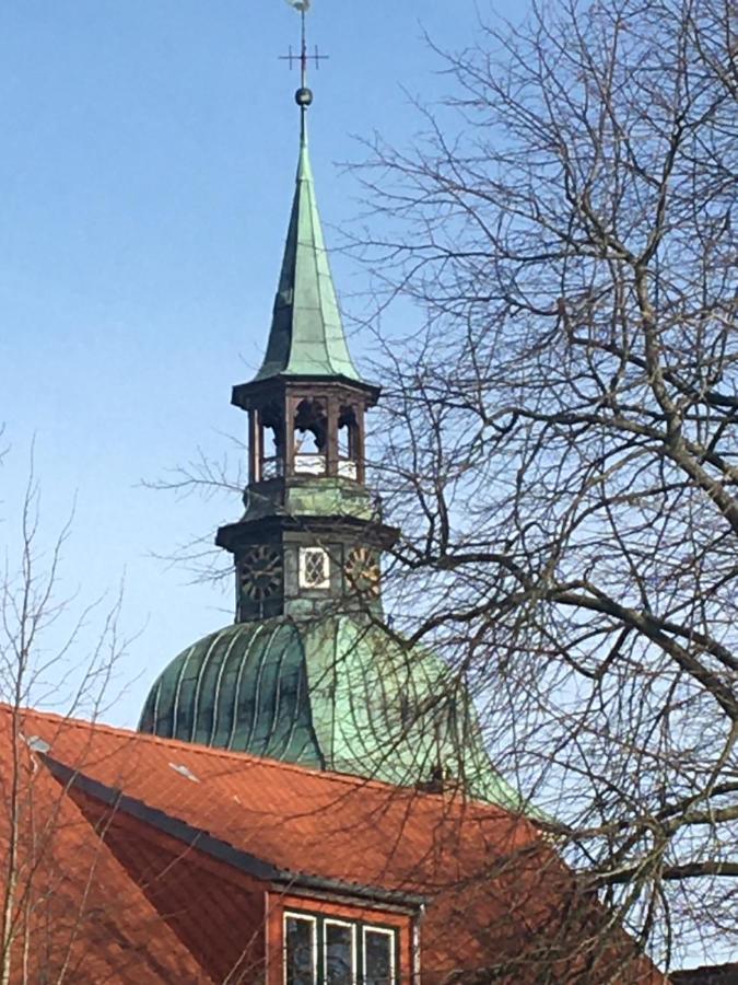 P11 Vakantiehuis Villa Friedrichstadt Bagian luar foto